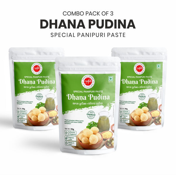 Dhana Pudina - Panipuri Paste (Pack of 3)